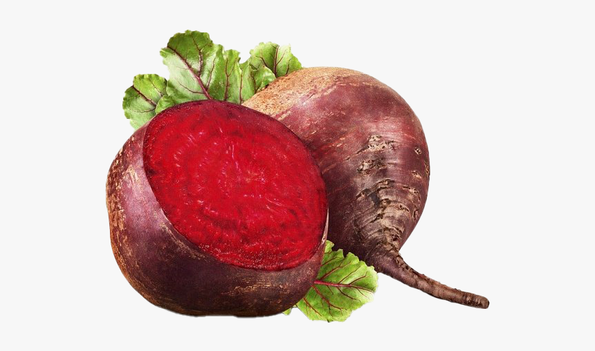 Beetroot Png Download Image - Beetroot, Transparent Png, Free Download