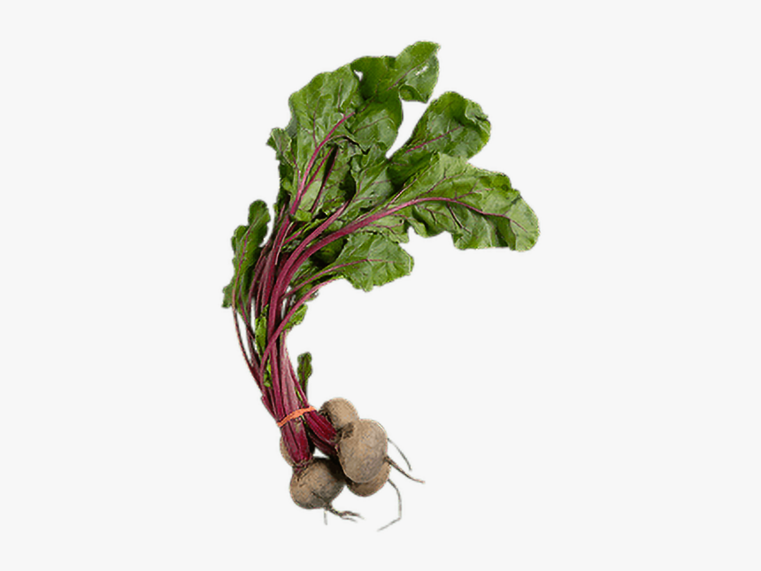 Beet Greens, HD Png Download, Free Download