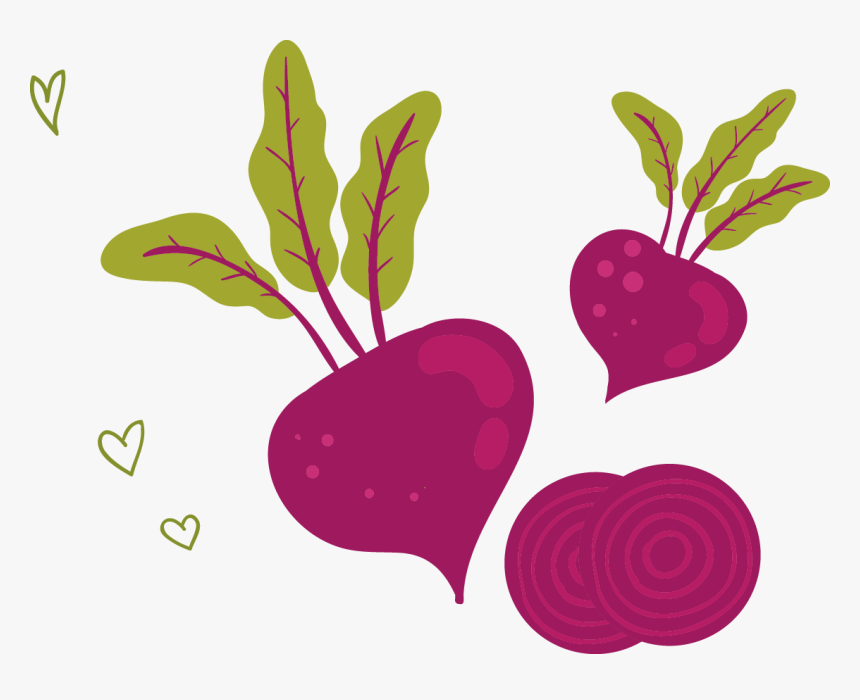 Radish Vector Beetroot - Illustration, HD Png Download, Free Download