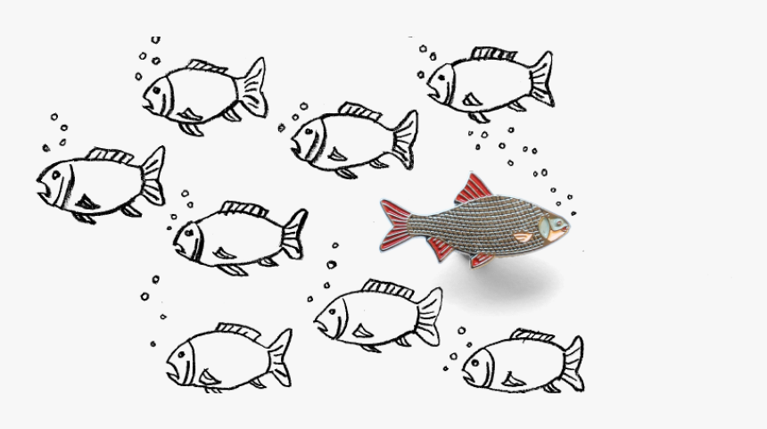 Transparent Fishes Png - Coral Reef Fish, Png Download, Free Download
