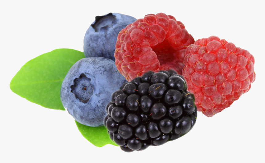 Blueberry Blackberry And Raspberry, HD Png Download, Free Download