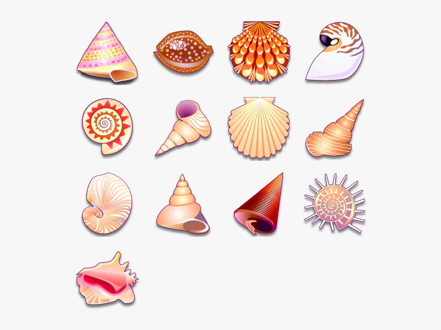 Sea Shell Seashell Icon Png, Transparent Png, Free Download
