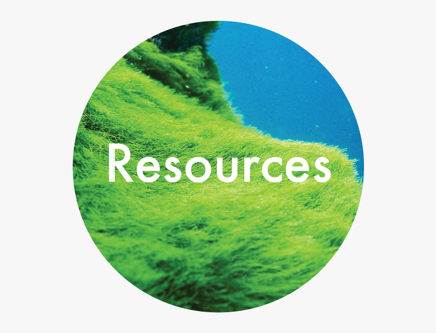 Resources-05 - Circle, HD Png Download, Free Download