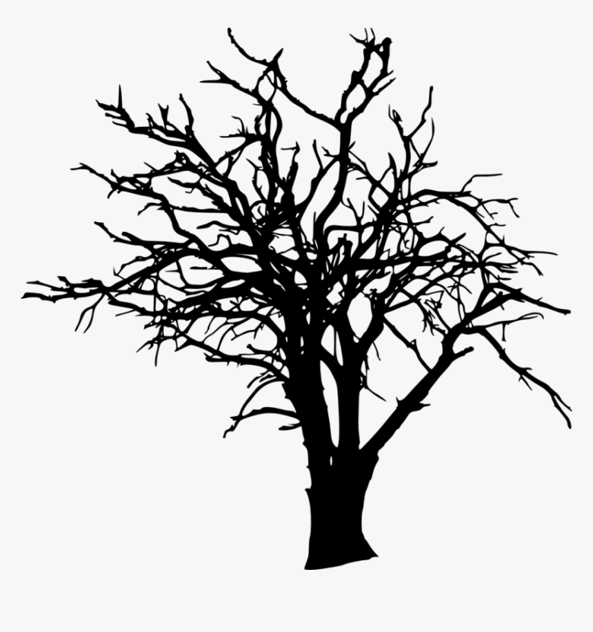Free Png Bare Tree Silhouette Png Images Transparent - Twig Tree Silhouette, Png Download, Free Download