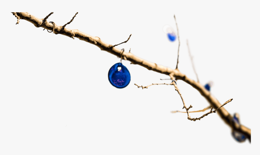 Circle, HD Png Download, Free Download
