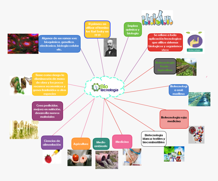 Mapa Mental De La Biotecnología, HD Png Download, Free Download