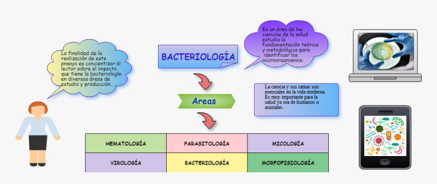 Diagram, HD Png Download, Free Download