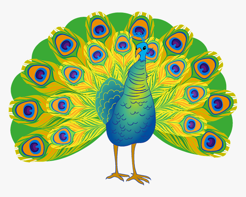 Peacock Clipart, HD Png Download, Free Download