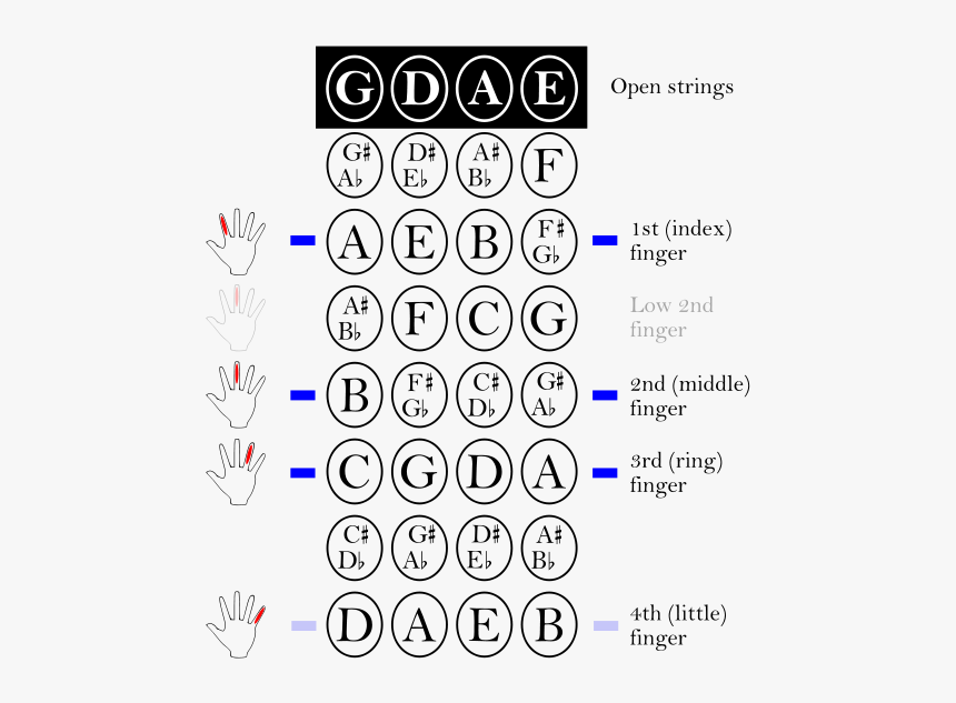 A Traditional Violin Fingering Chart - Violin Note On String, HD Png Download, Free Download