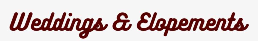 Copy Of Copy Of Copy Of Willow - Orange, HD Png Download, Free Download