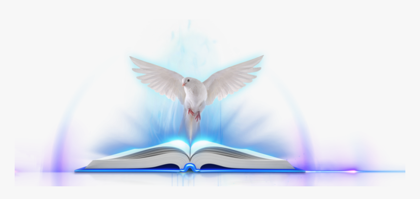 Open Book With Light, HD Png Download, Free Download