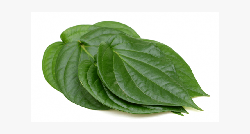 Betel Leaf, HD Png Download, Free Download