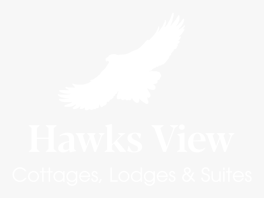 Hawks View Reverse - Microsoft Teams Logo White, HD Png Download, Free Download