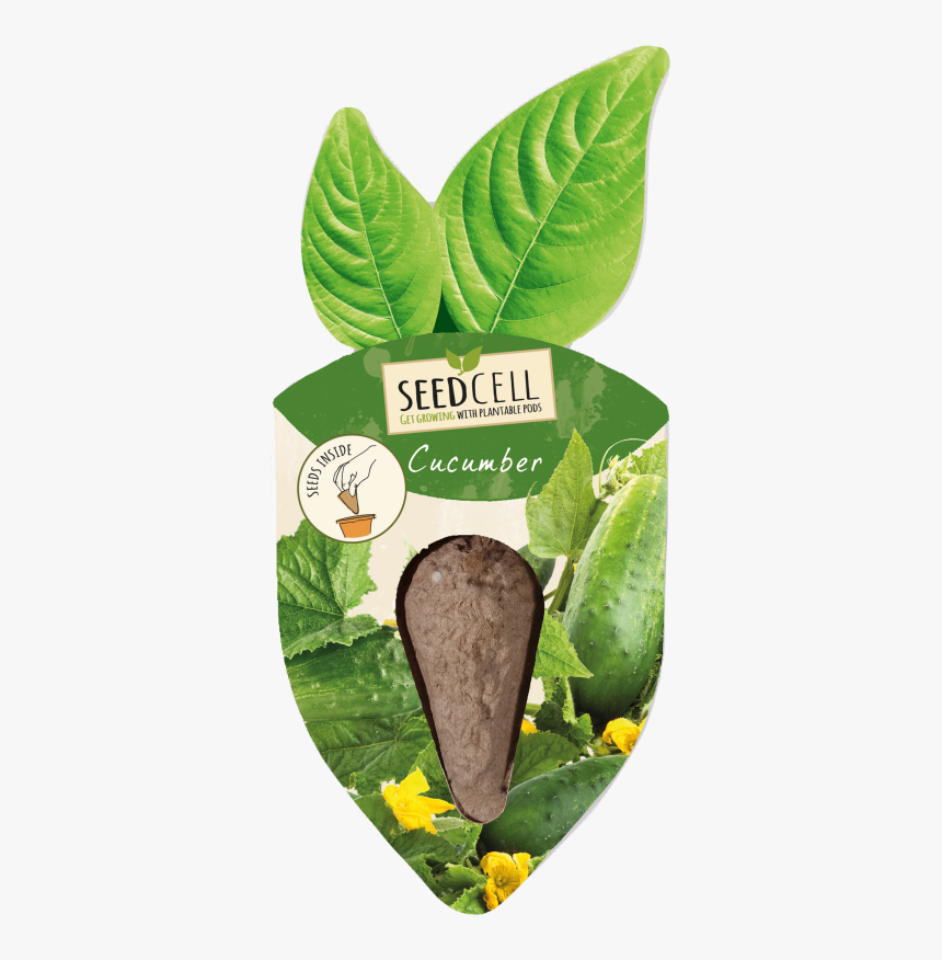 Seedcell Agurk Frø,bionedbrydelig Genbrugspap, HD Png Download, Free Download