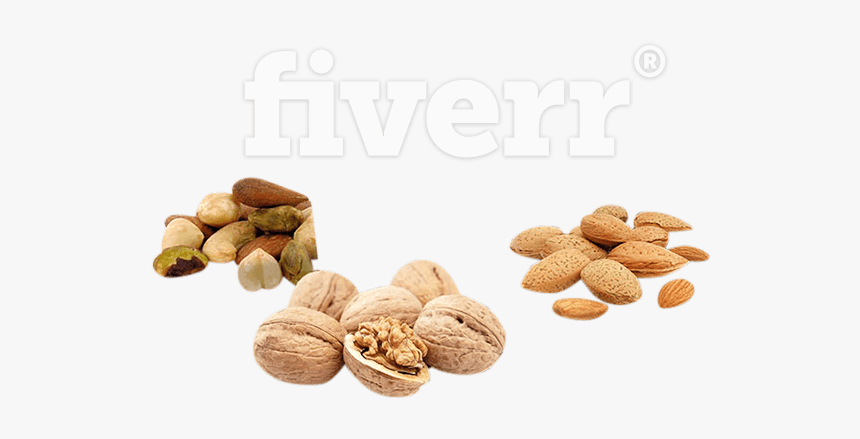Nuts Vector Betel Nut - Mixed Nuts, HD Png Download, Free Download