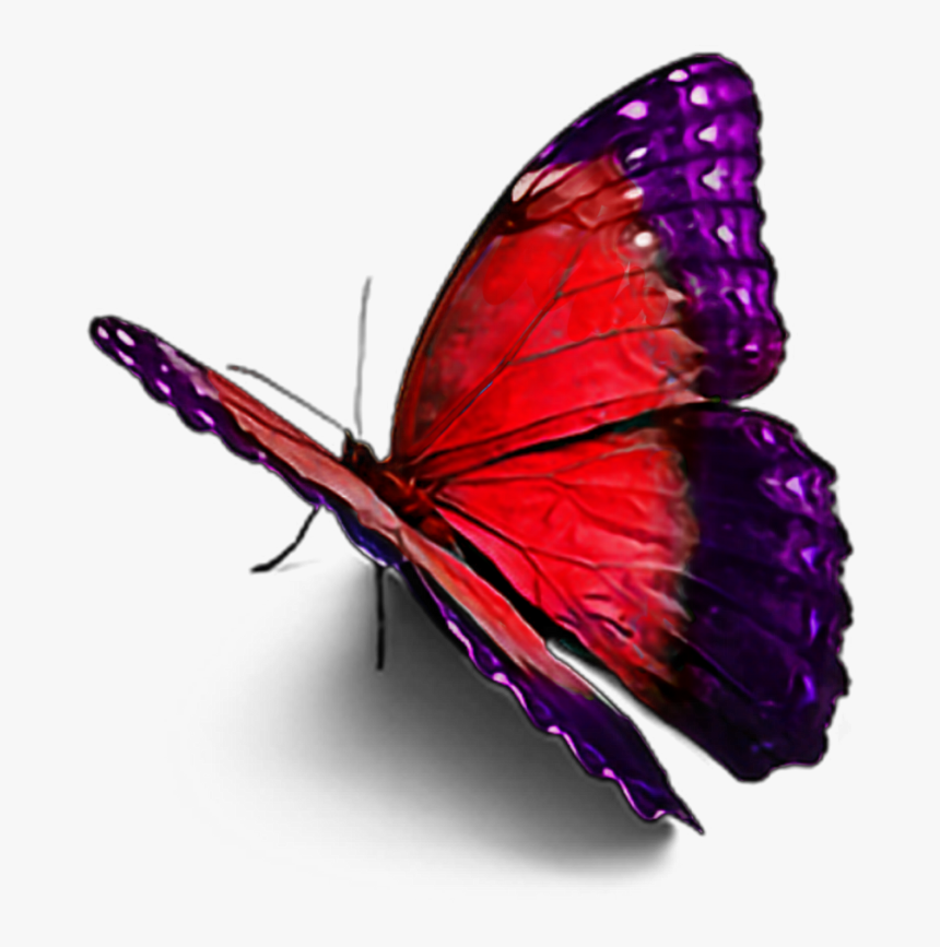 Picsart New Hd Sticar, Png Download - Butterfly Images Hd Png, Transparent Png, Free Download