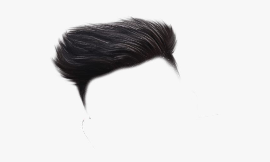 Background Hair Png Hd Download, Transparent Png - kindpng Background Hair Png Hd Download, Transparent Png - kindpng