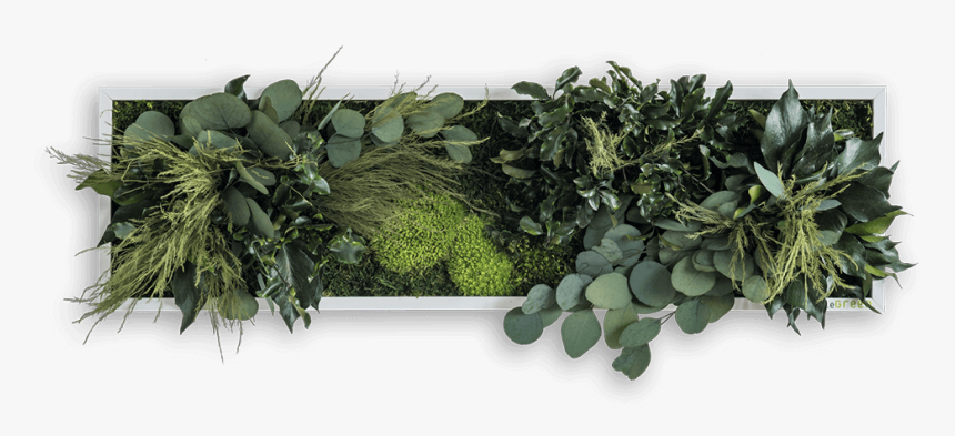 Garden, HD Png Download, Free Download