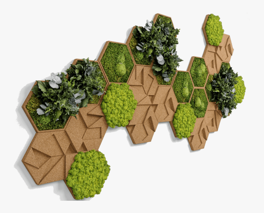 Nature Wall Decor, Alpine Moss Hexagons , Beautiful - Wall, HD Png Download, Free Download