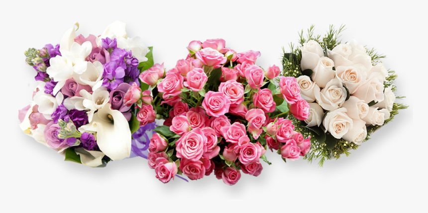 Floribunda, HD Png Download, Free Download