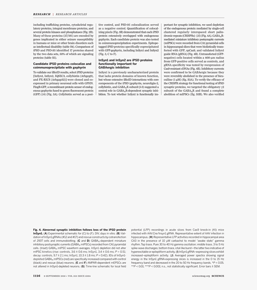 Document, HD Png Download, Free Download