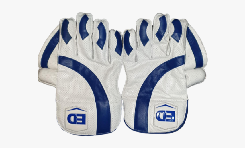 Ed Sports Wicket Keeping Gloves - Football Gear, HD Png Download, Free Download