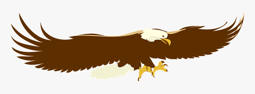 Eagle In Flight Clipart - Soaring Eagle Clip Art, HD Png Download, Free Download