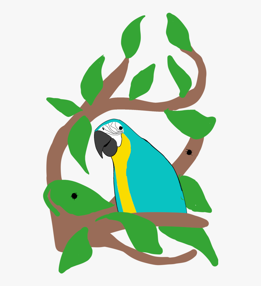 Macaw, HD Png Download, Free Download