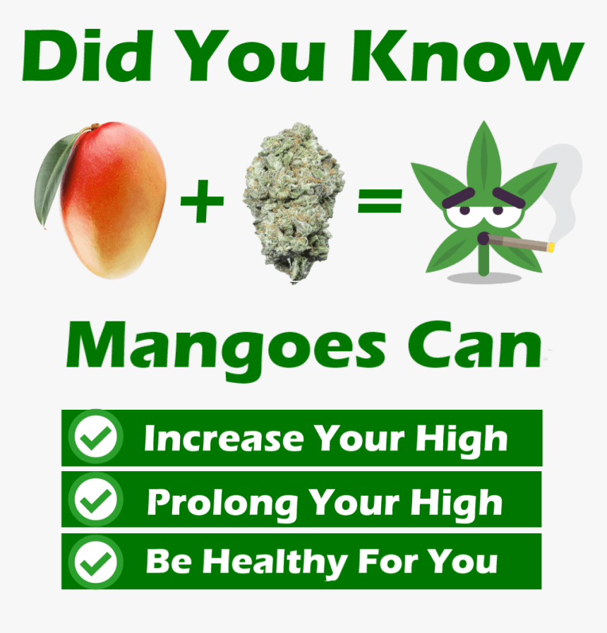 Mangoes Can Increase Your High - Fruit, HD Png Download, Free Download