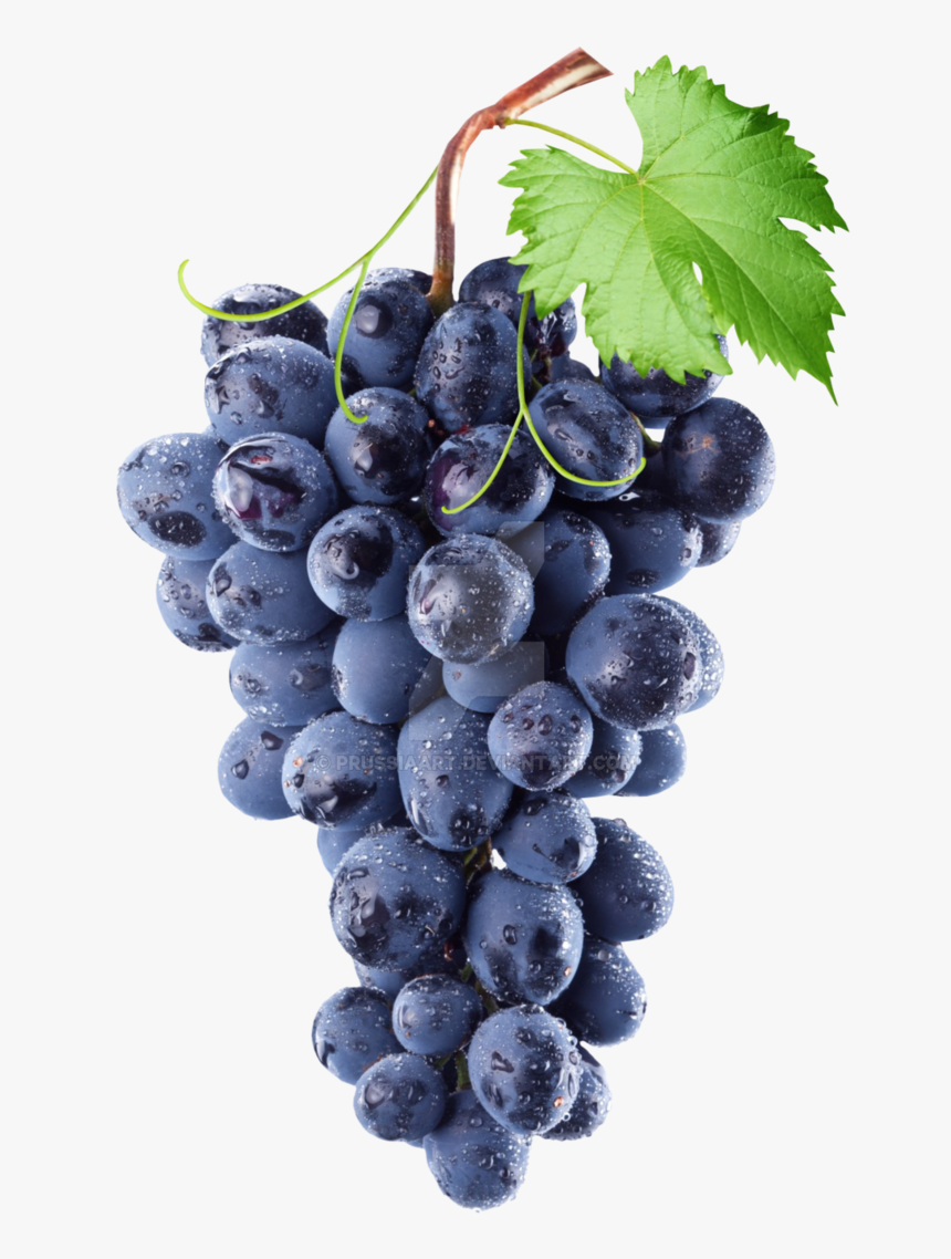 Transparent Grapes Blue - Transparent Background Grapes Png, Png Download, Free Download