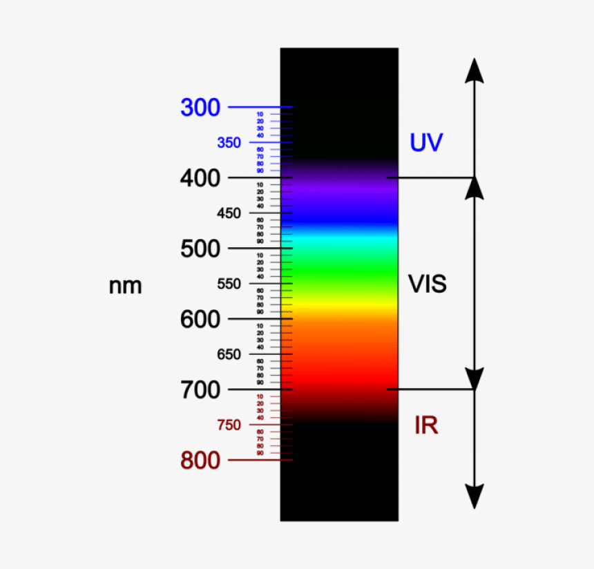 Principle Of Two Photon Microscopy, HD Png Download, Free Download