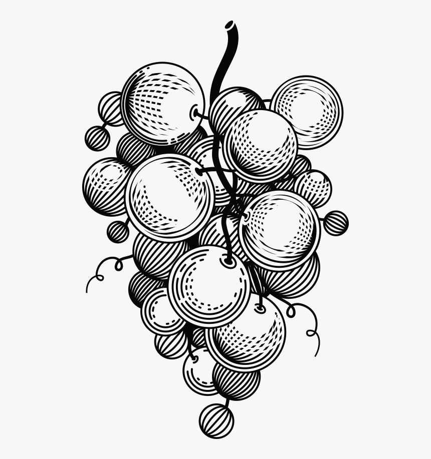 Grapes Black, HD Png Download, Free Download