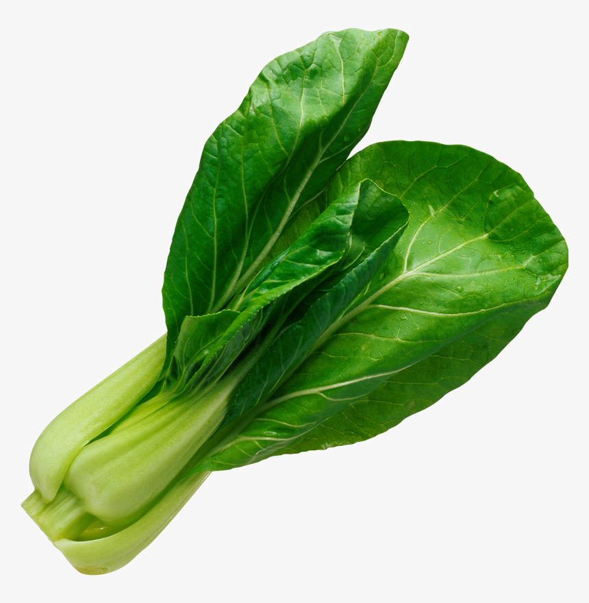 Pak Choy - Spinach Vegetable Png, Transparent Png, Free Download