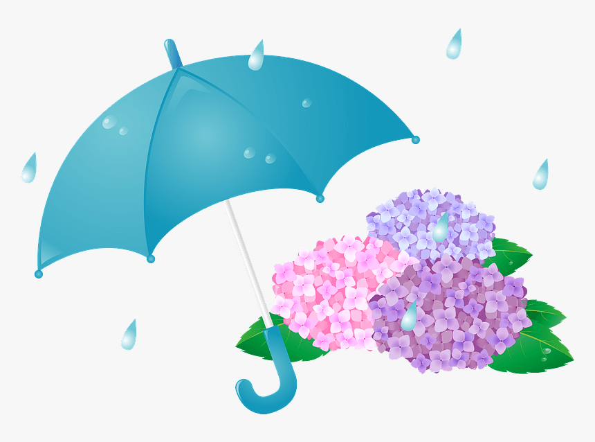 Rain Hydrangea Umbrella Clipart - 雨傘 イラスト, HD Png Download, Free Download