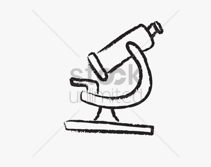 Ovaries Drawing Microscope, HD Png Download, Free Download