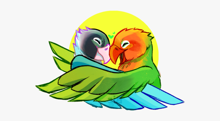 Transparent Bird Bird Beak Parrot Clipart For Animals - Parakeet, HD Png Download, Free Download