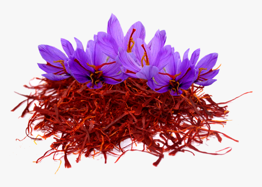 Transparent Crocus Flower Clipart - Saffron Flower Png, Png Download, Free Download