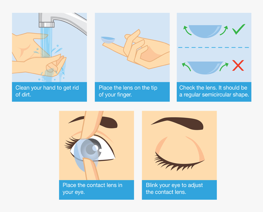 Steps To Wear Contact Lens, HD Png Download, Free Download