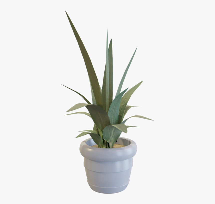 Agave Azul, HD Png Download, Free Download