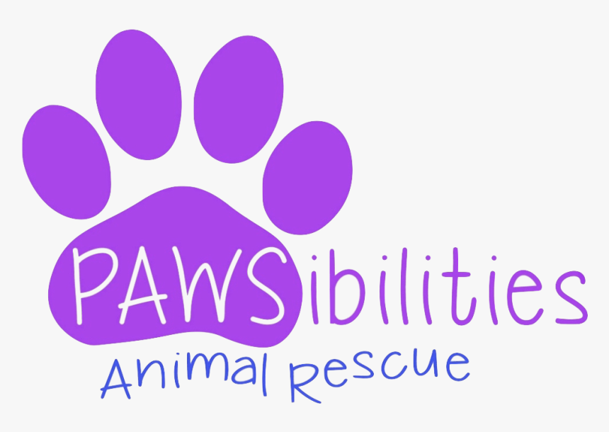 Paws Png, Transparent Png, Free Download
