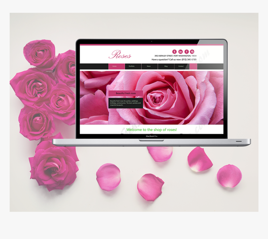Roses - Good Morning Hd New Pics For Love, HD Png Download, Free Download