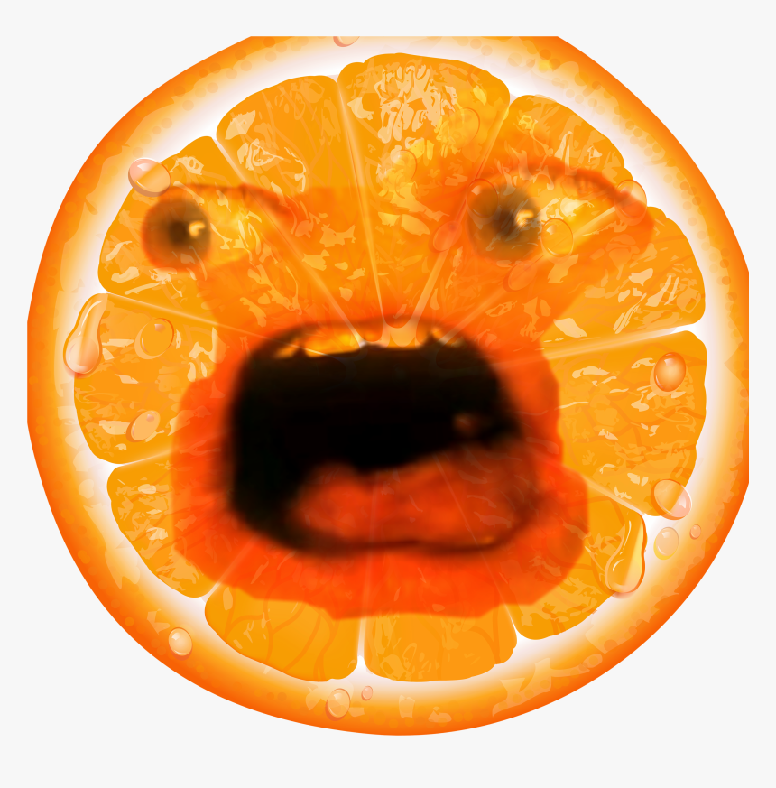 #annoying Orange - Orange, HD Png Download, Free Download