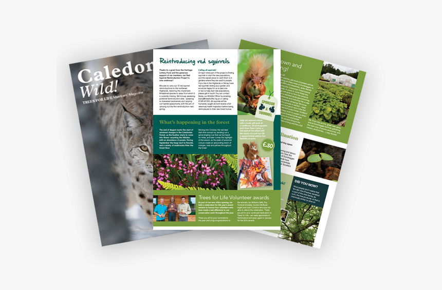 Join Trees For Life And Receive Our Exclusive Members - Brochure, HD Png Download, Free Download