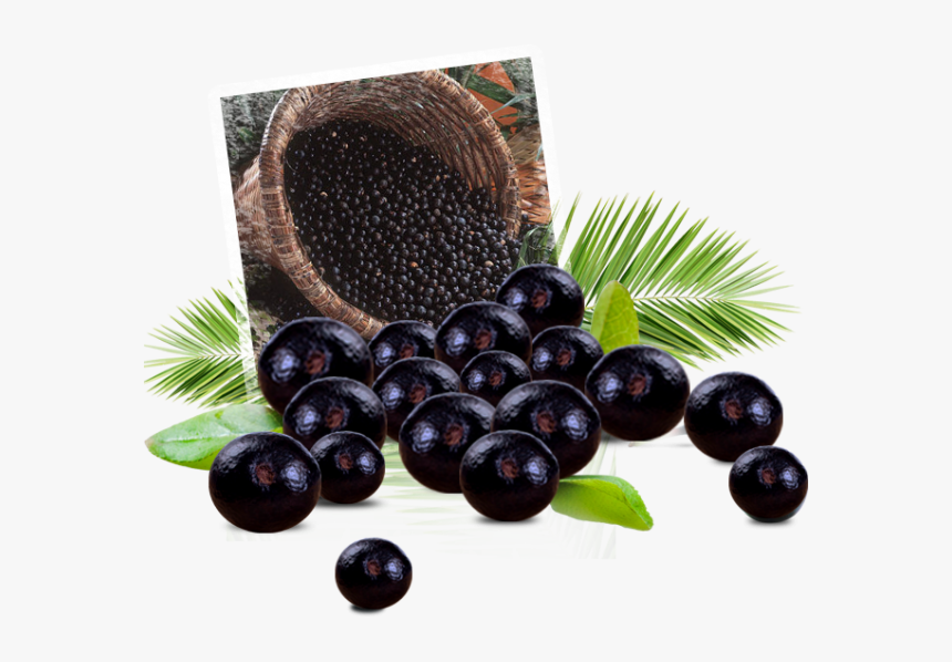 Transparent Acai Berry Png, Png Download, Free Download