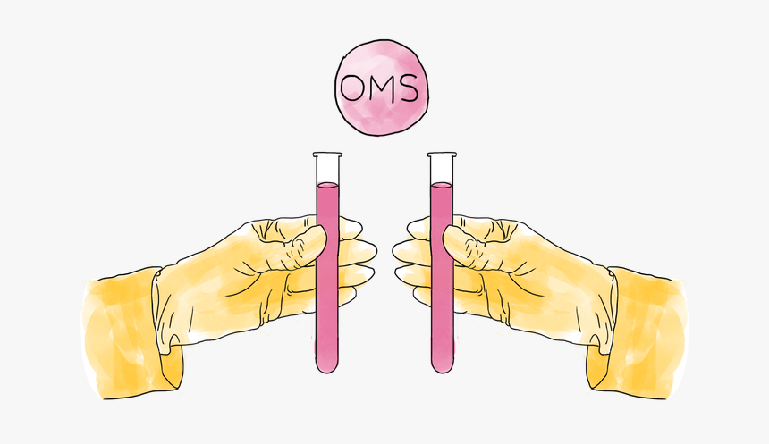 Solidarity, HD Png Download, Free Download