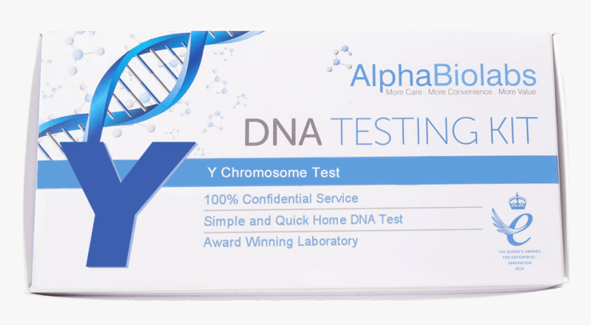 Y Chromosome Test, HD Png Download, Free Download