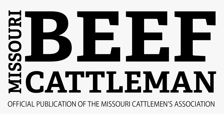 Printing, HD Png Download, Free Download