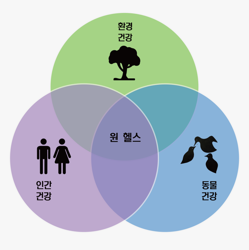 One Health Triad Ko - One Health, HD Png Download, Free Download