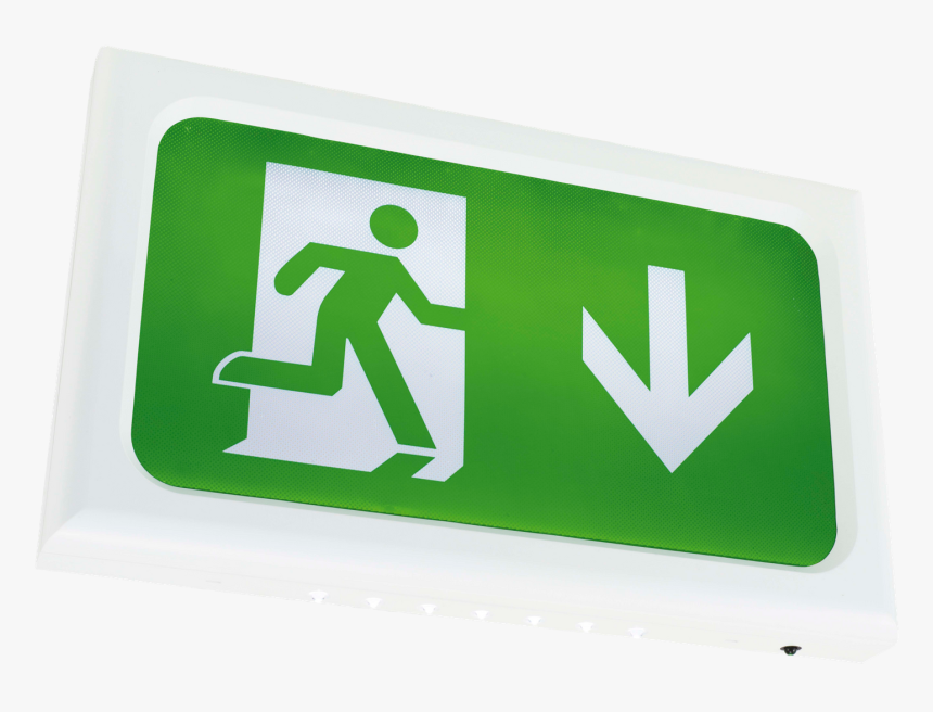 Transparent Anaconda Png - Fire Exit Sign Size, Png Download, Free Download