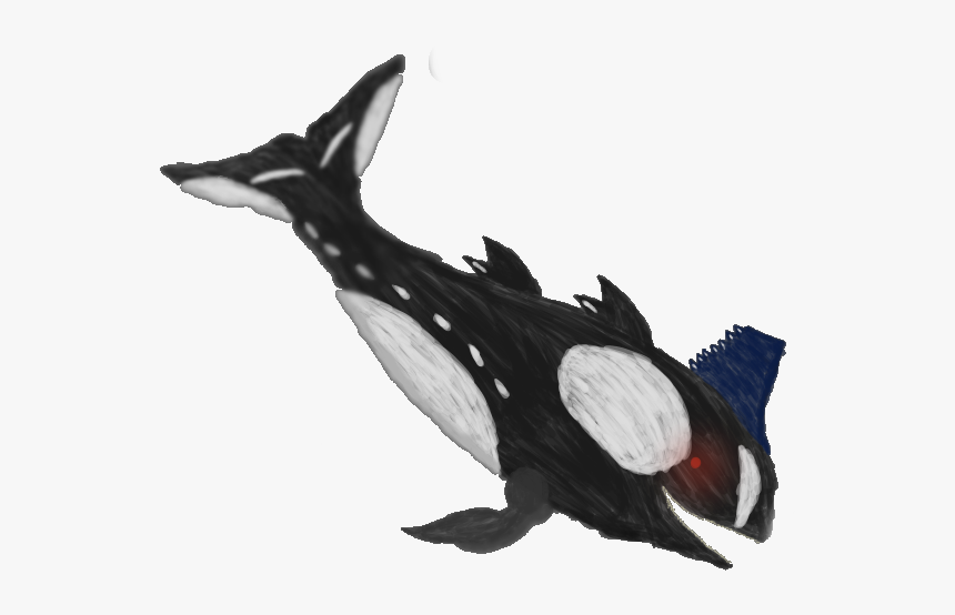 Subnautica Arts Wiki - Killer Whale, HD Png Download, Free Download